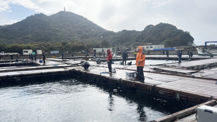 淡路島海釣り大会