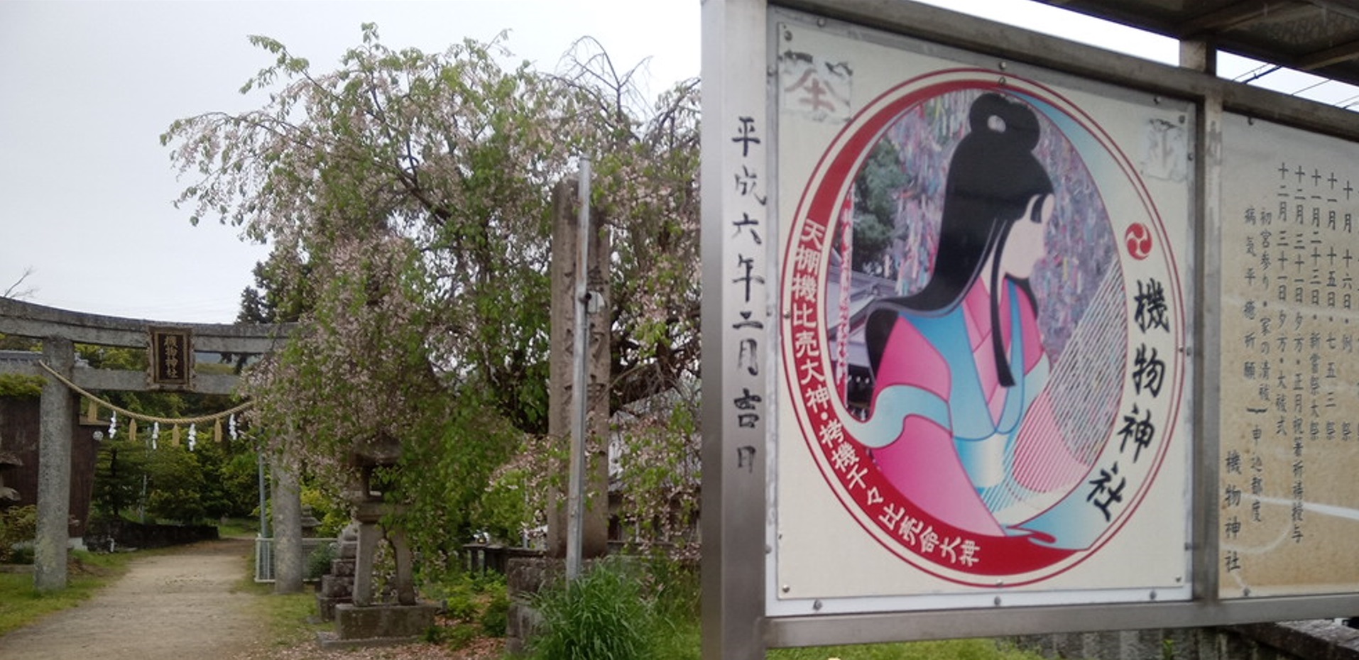 2024年交野マラソン